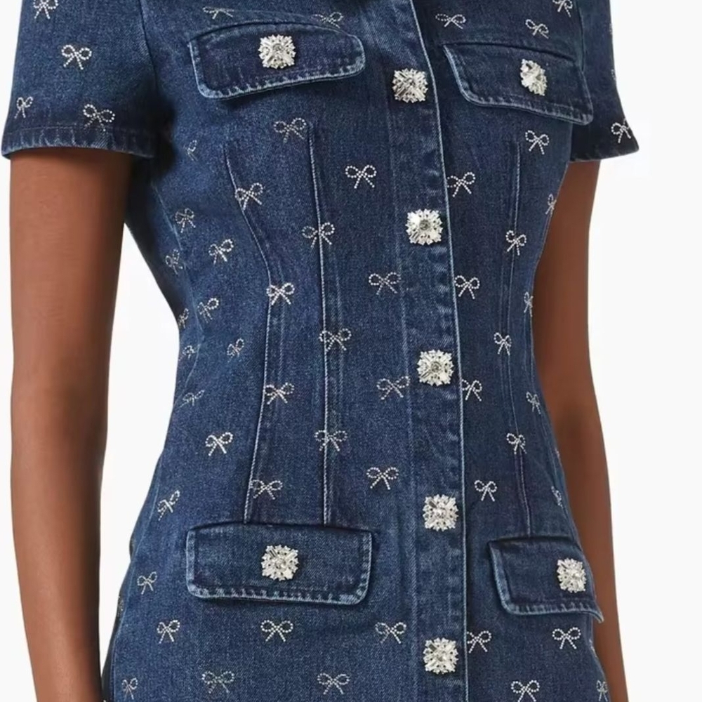 Chic Embroidered Denim Mini Dress